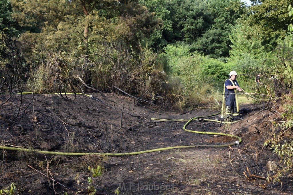 Waldbrand Koeln Hoehenhaus Hoehenfelder Mauspfad P147.JPG - Miklos Laubert